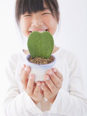 茅ヶ崎市で夏期講習のための塾選びなら